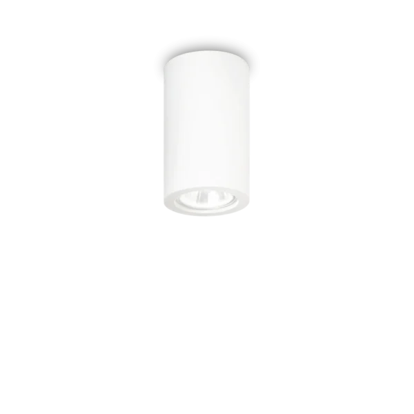 Tower Pl1