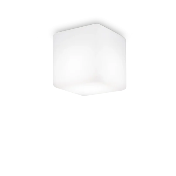 Luna Pl1