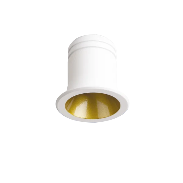 Virus Fi Wh - immagine 2