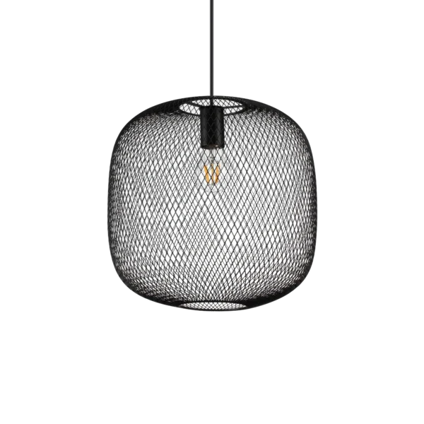 Net Sp1 D34 - immagine 3