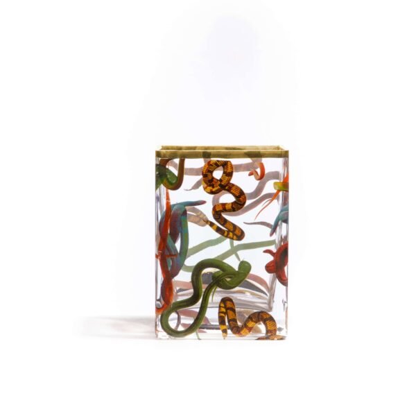 Glass Vaso Snakes