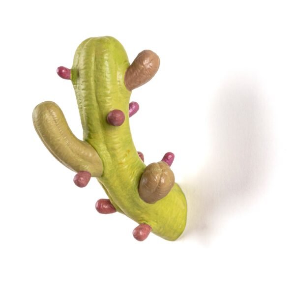 Cactus Coloured - immagine 4
