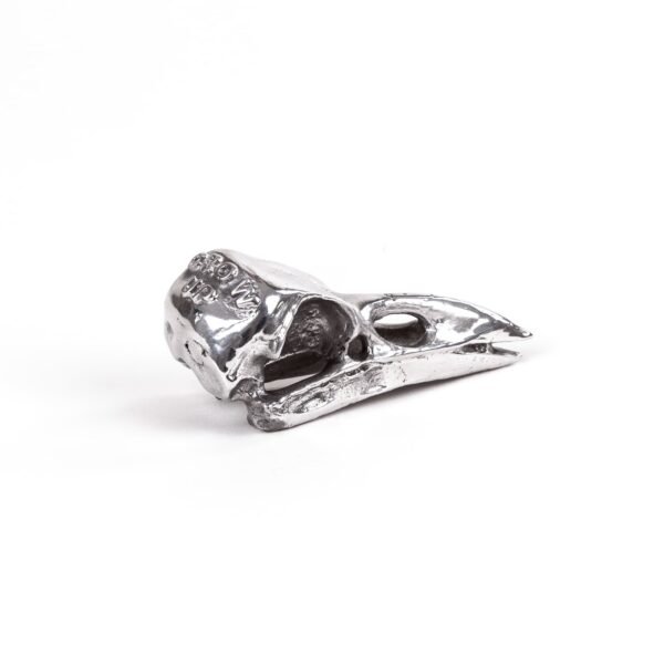 Wunderkammer Bird Skull - immagine 3