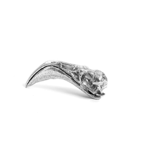 Wunderkammer Flamingo Skull - immagine 2