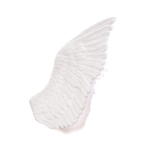 Memorabilia Mvsevm Wing Right - immagine 3