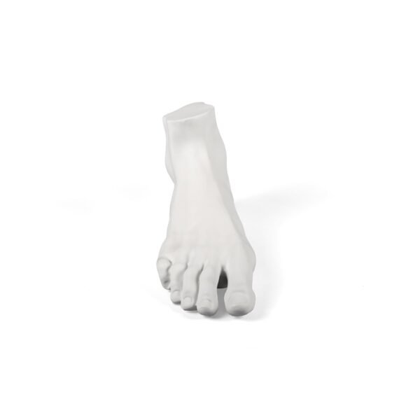 Memorabilia Mvsevm Male Foot - immagine 2