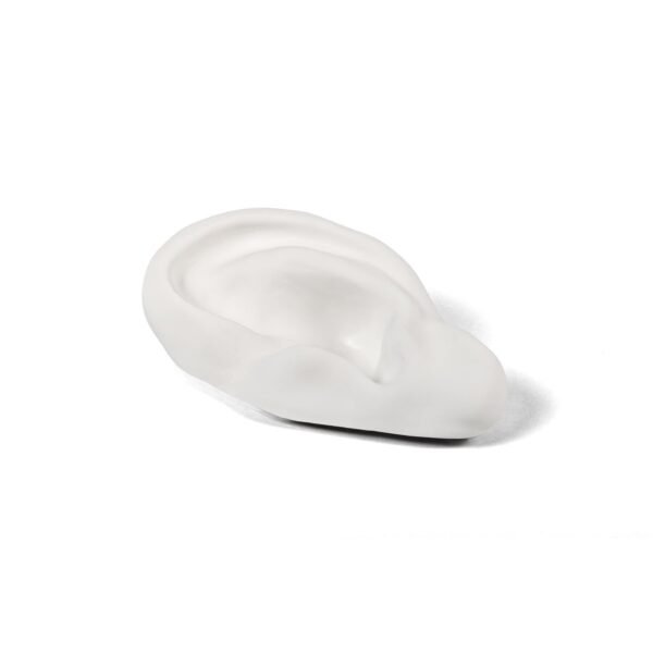 Memorabilia Mvsevm Ear - immagine 3