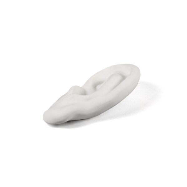 Memorabilia Mvsevm Ear - immagine 2