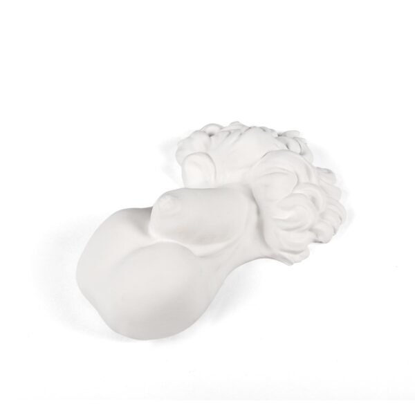 Memorabilia Mvsevm Penis - immagine 3