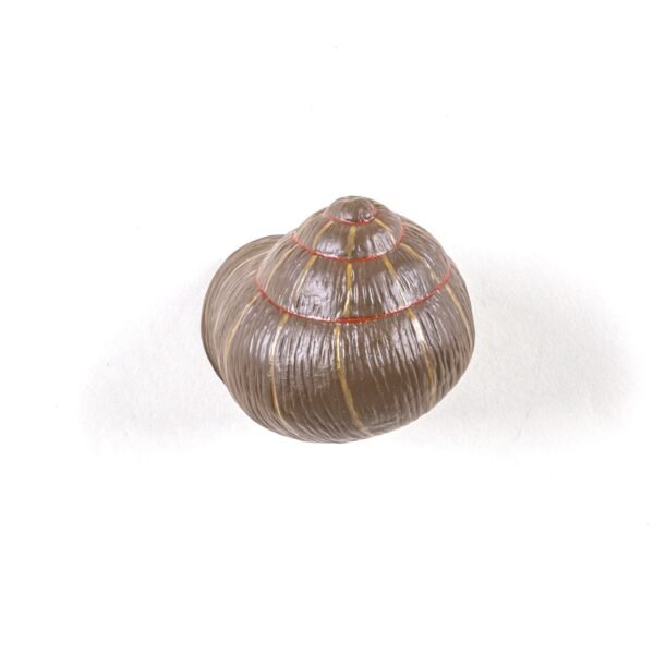 Appendiabiti Snail Sleepy Coloured - immagine 2