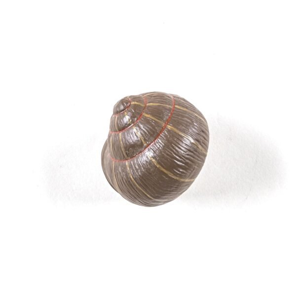 Appendiabiti Snail Sleepy Coloured